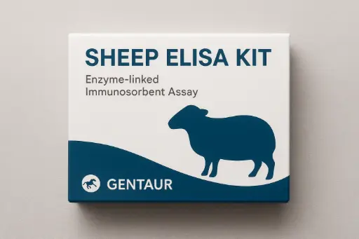 Sheep NT ELISA Kit