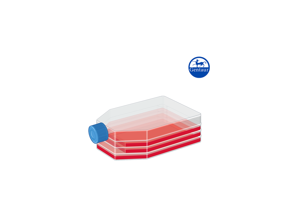 AmnioPrime - complete medium for cultivation of amnion and chorionic villi cells