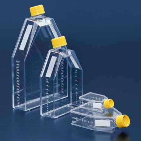 Tissue culture flask 25 cm² / filter screw cap / triple bagged 