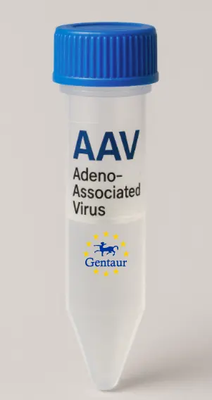 SOCS7 AAV Vector (Mouse) (CMV)