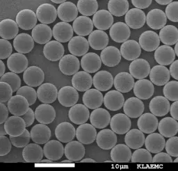 Anti-His Magnetic Particles, 200 nm