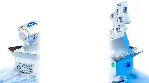 [0002-NATNOVII-6MC-IVD]  NATtrol™ Norovirus GII Positive Control (6 x 0.5 mL) CE IVD