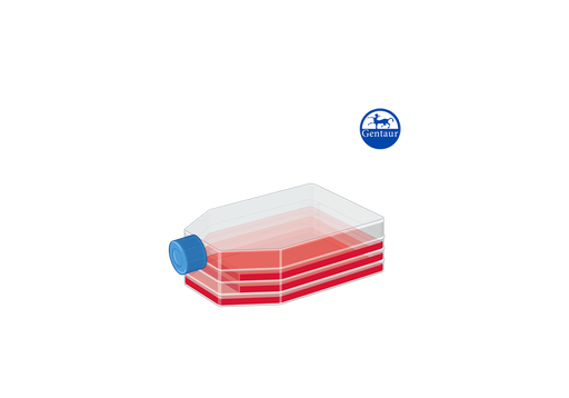 [APR-​A] AmnioPrime - complete medium for cultivation of amnion and chorionic villi cells