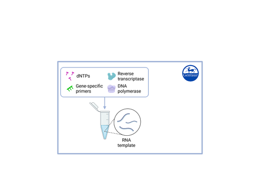 [MBT078-​1ML] ​dNTP  - dATP, dCTP, dGTP и dTTP solutions
