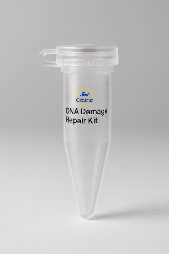 [MA-NGS-01] DNA Damage Repair Kit