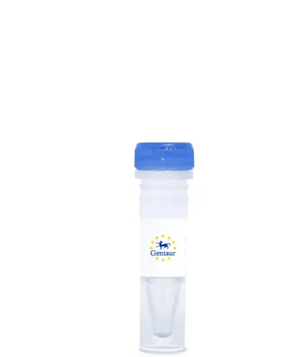 [DASHCHINK-54] Chikungunya Virus Detection qPCR kit