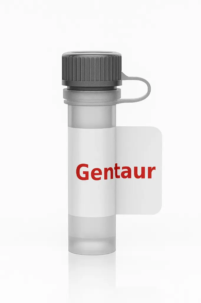 [AMX-333] Mouse Anti-Human CD28 Antibody(Clone CD28.2), Purified